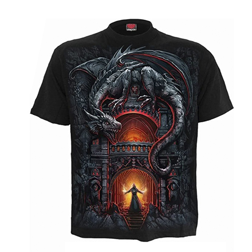 camiseta dragon